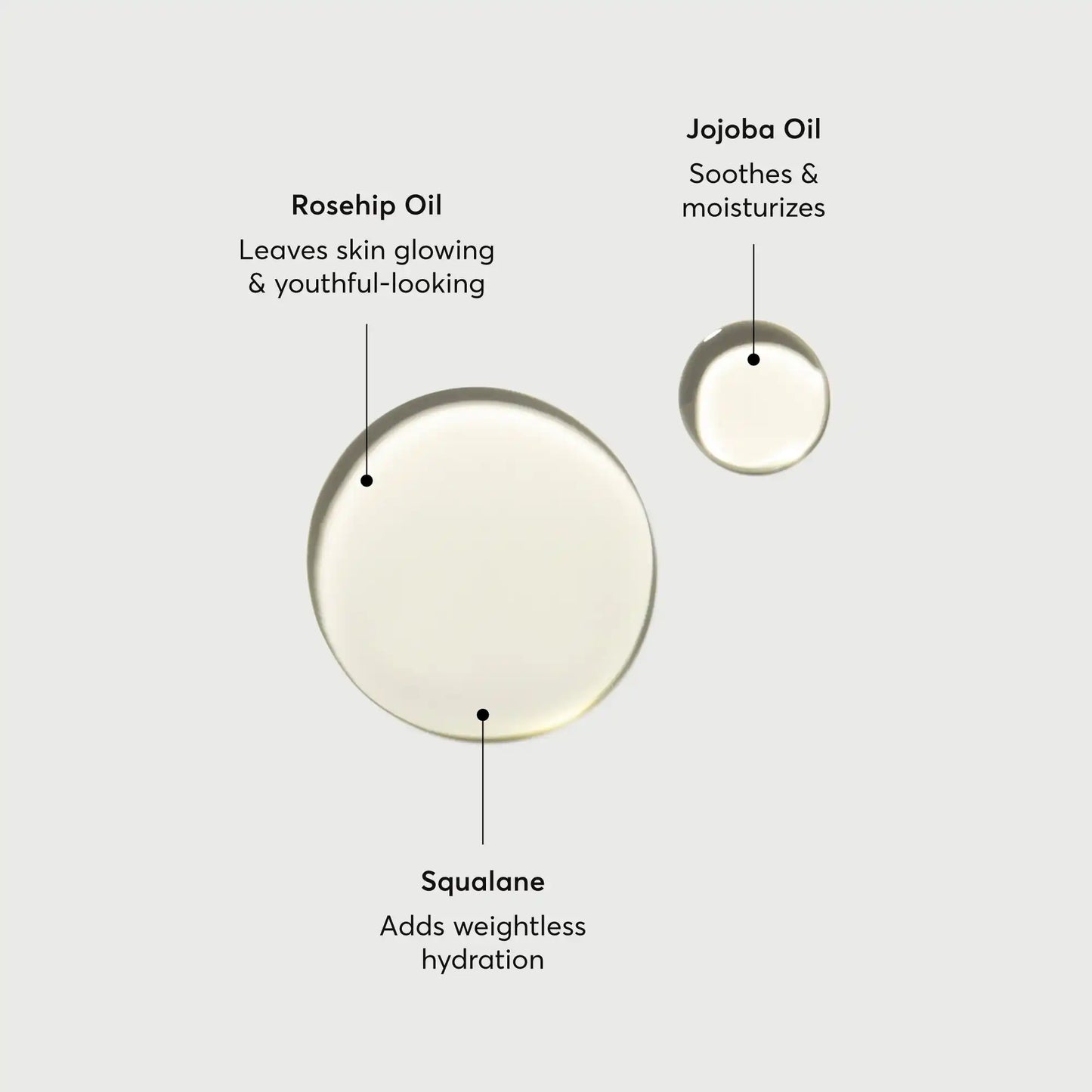 the-glow-getter-body-oil-a2 NATR-10115-Alt-Images-The-Glow-Getter-Body-Oil-01.webp