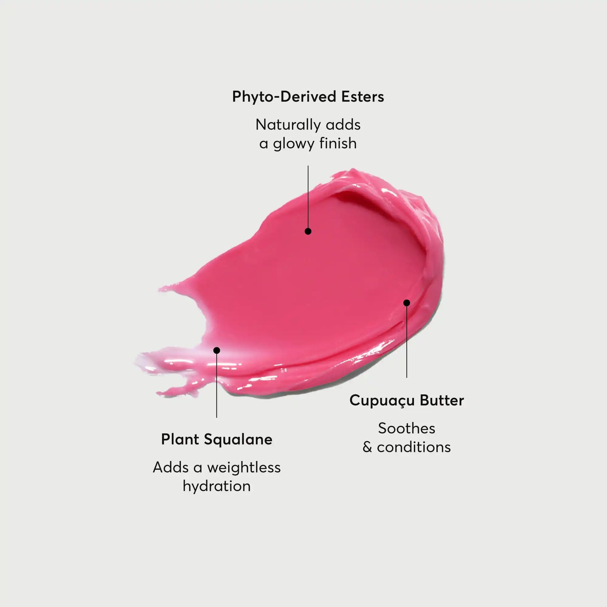 phyto-glow-lip-balm-camellia-d0 NATR-60075-Alt-Images-Phyto-Glow-Lip-Balm-Camellia-01.webp